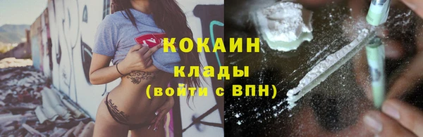 PSILOCYBIN Аркадак