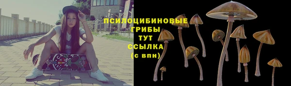 PSILOCYBIN Аркадак