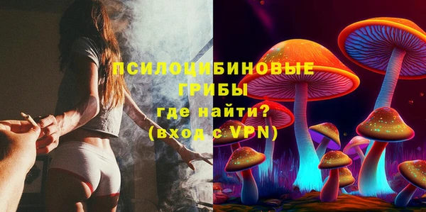 Альфа ПВП Армянск