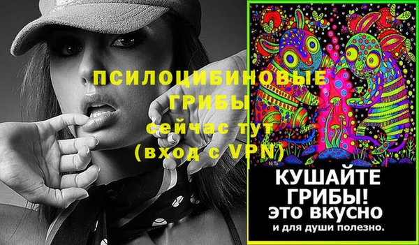 PSILOCYBIN Аркадак
