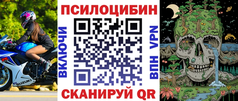 купить закладку  Урень  Псилоцибиновые грибы MAGIC MUSHROOMS 